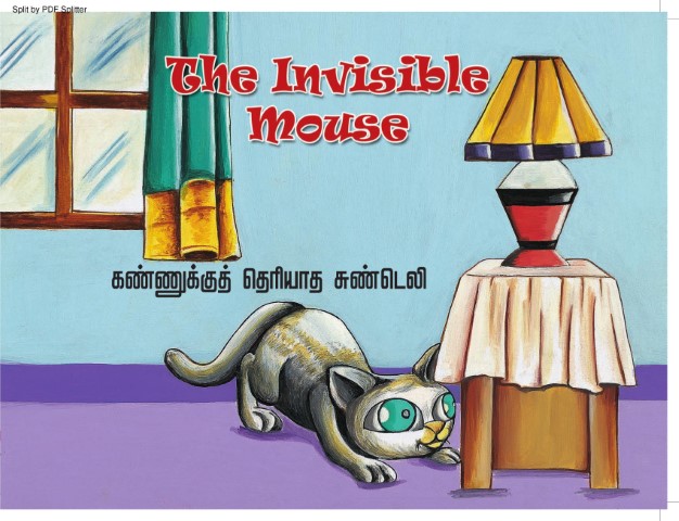 The Invisible Mouse